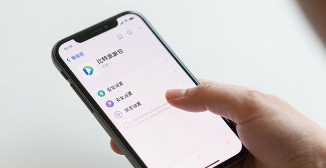比特派钱包imtoken_比特派钱包身份验证_下载比特派钱包后的首要任务：确保安全和备份